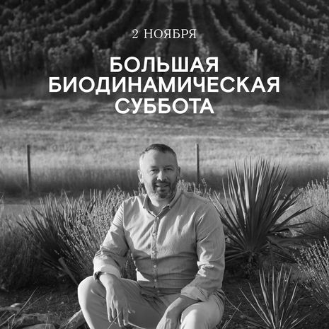 Большая биодинамическая суббота в Москве 2 ноября 2024