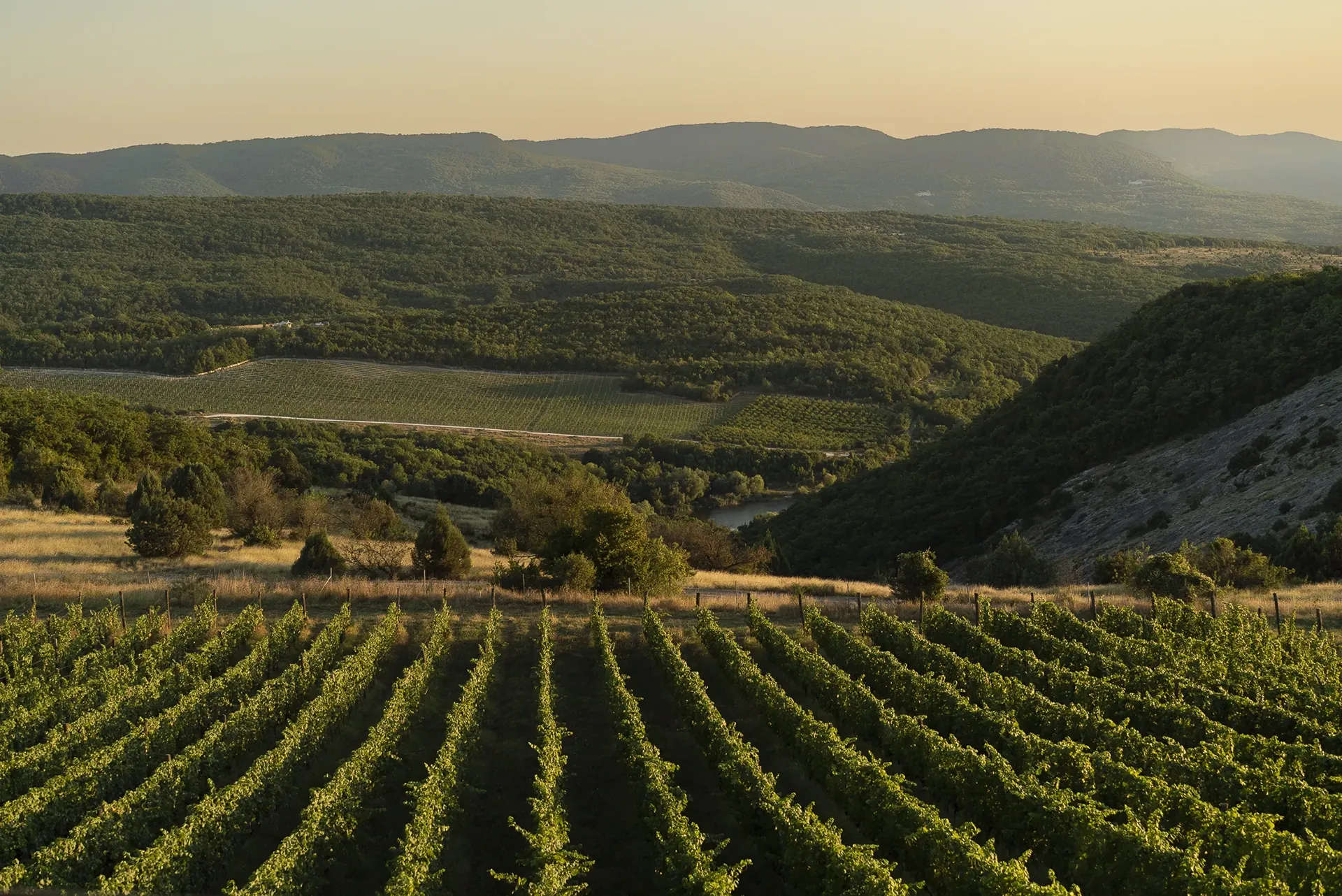 Виноградники Uppa Winery