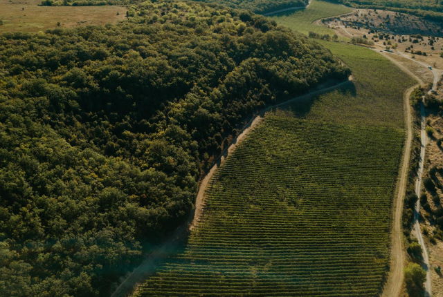 Терруар Uppa Winery